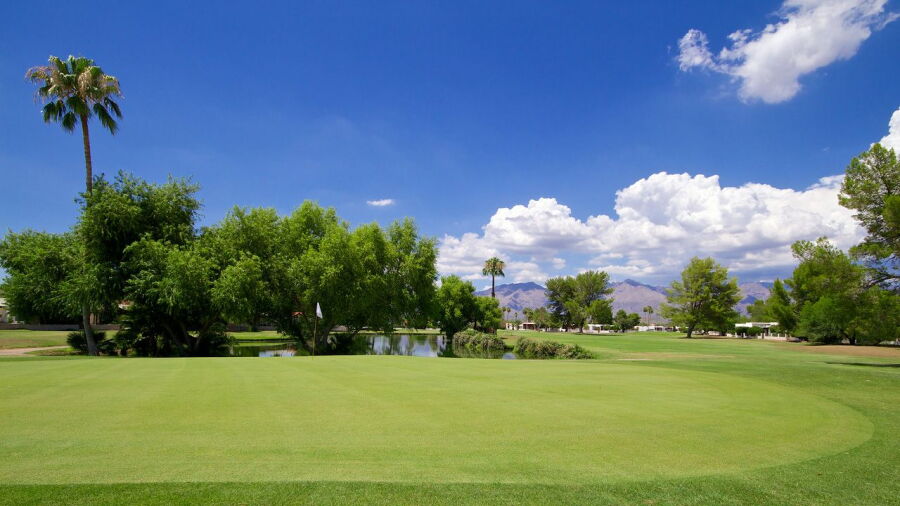 Dorado CC
