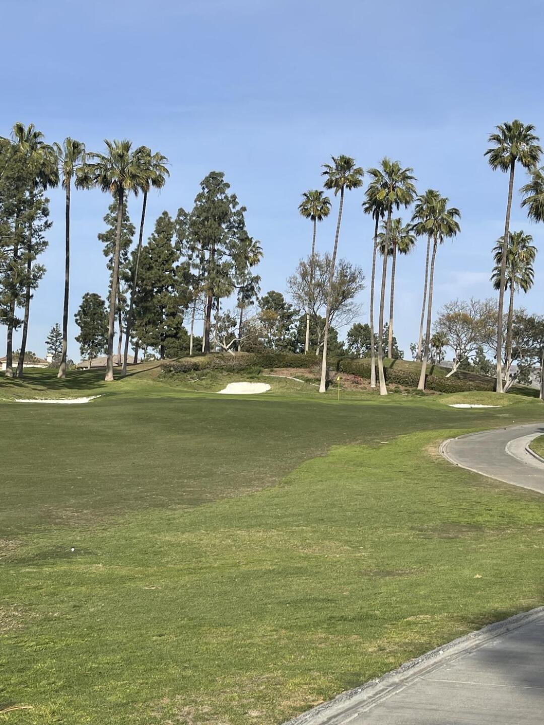 (Photo submitted by letsroll611 on 02/25/2025)