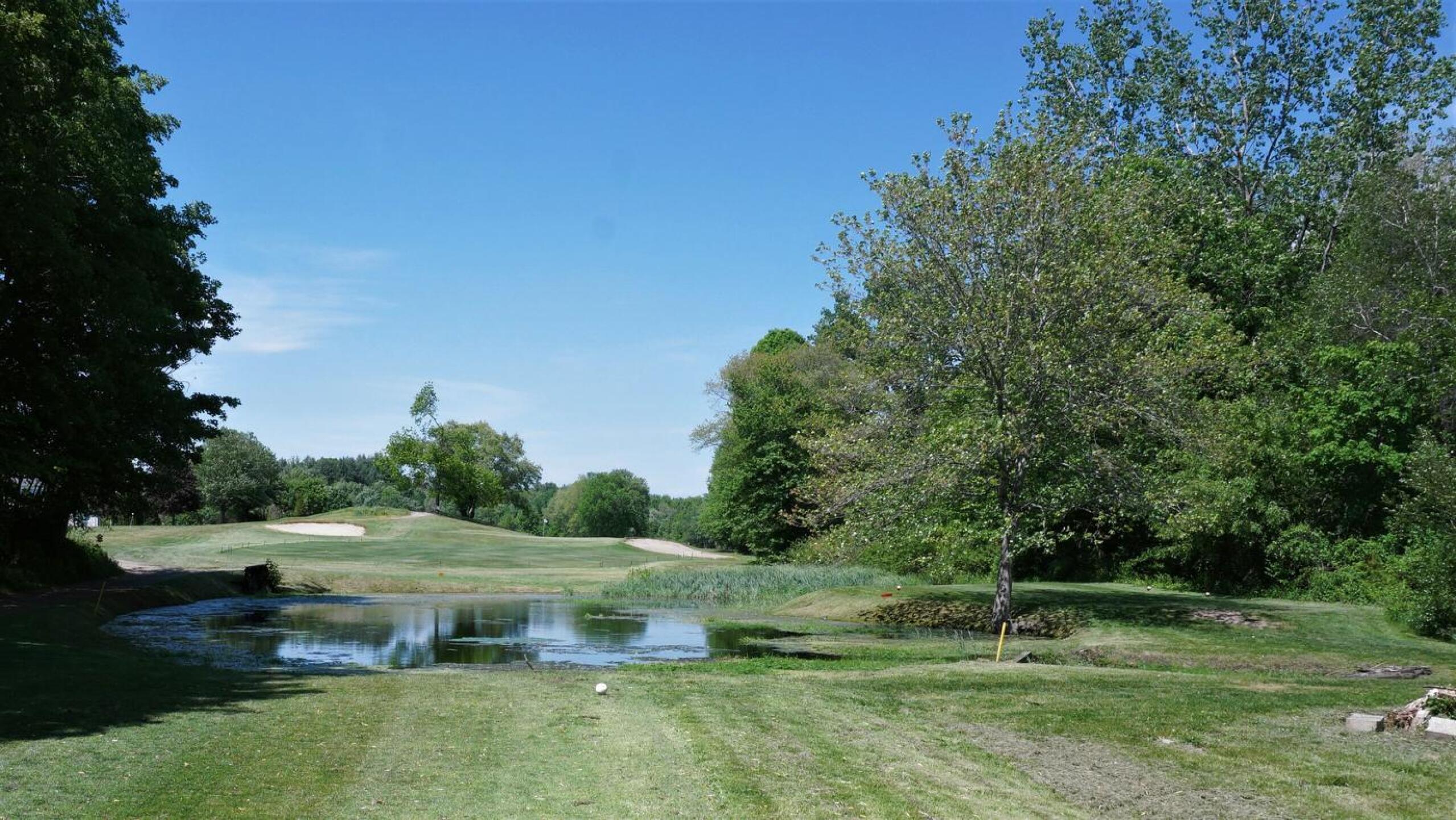 Third, from the tee. The green looks tantalizing on a spring afternoon. (Photo submitted by AptlyLinked on 05/26/2021)