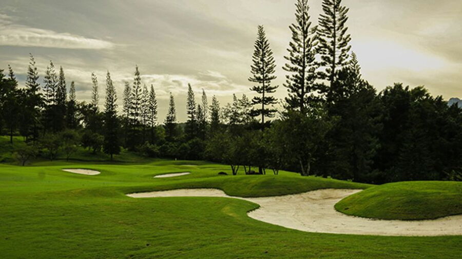 Rainbow Hills GC - Forest: #8