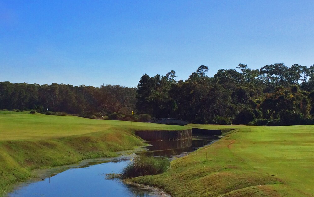 Grand Cypress New Course - no. 17