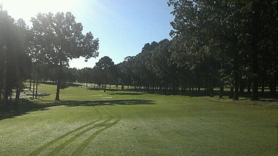 Thunderbird CC