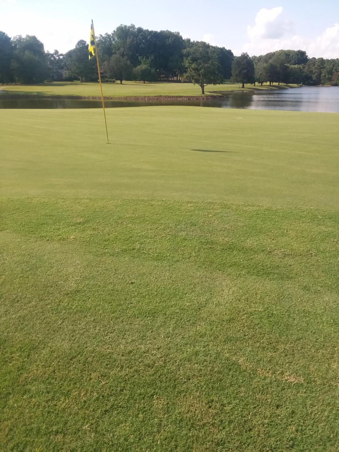 (Photo submitted by u011669316 on 08/06/2019)
