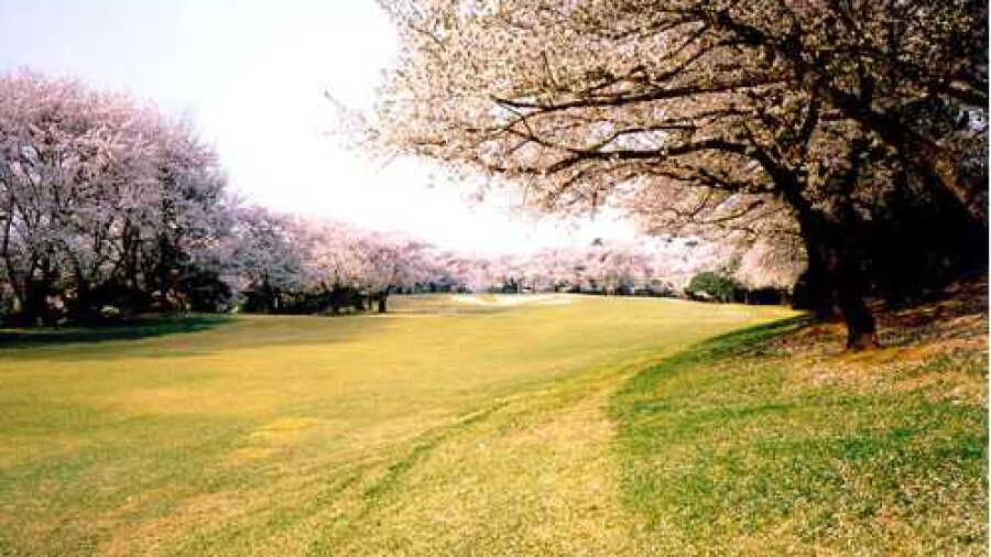 Anyang CC