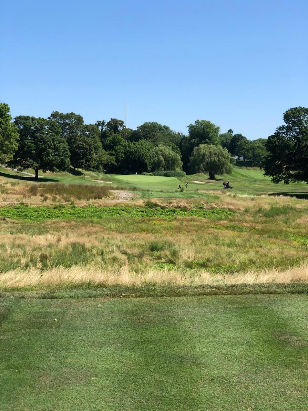 (Photo submitted by ThomasGram on 08/09/2019)