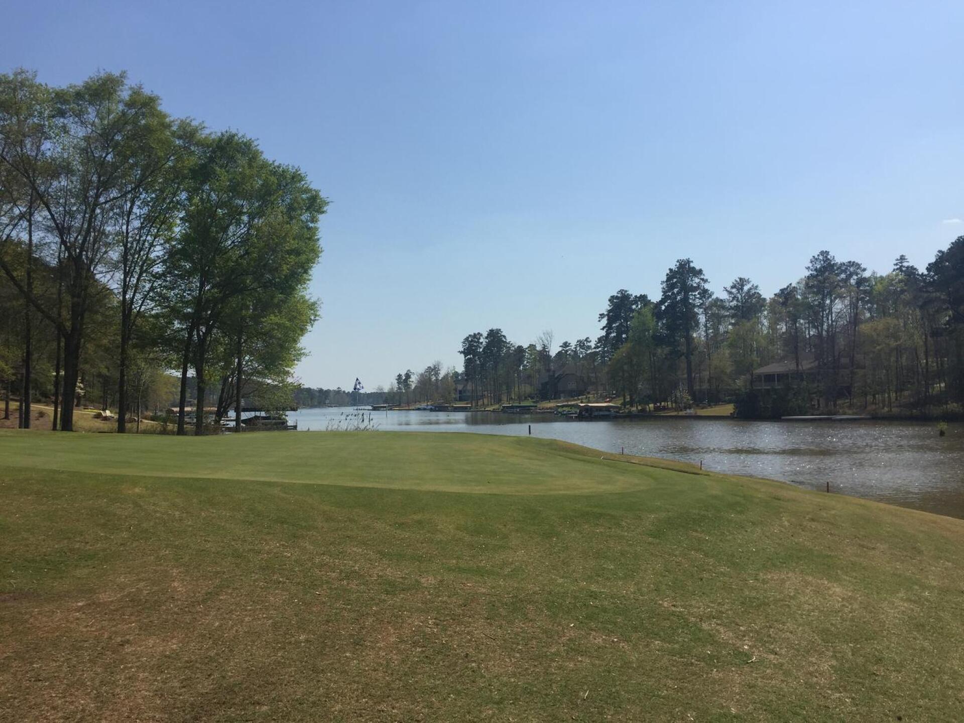 (Photo submitted by leifer956 on 04/09/2021)