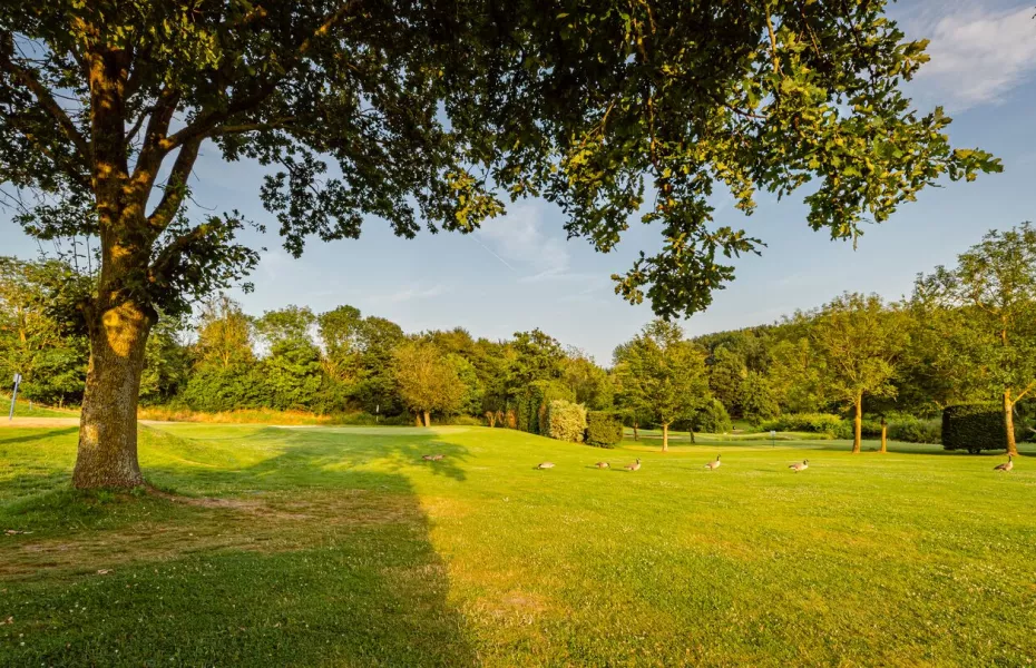 Royal Amicale Anderlecht GC