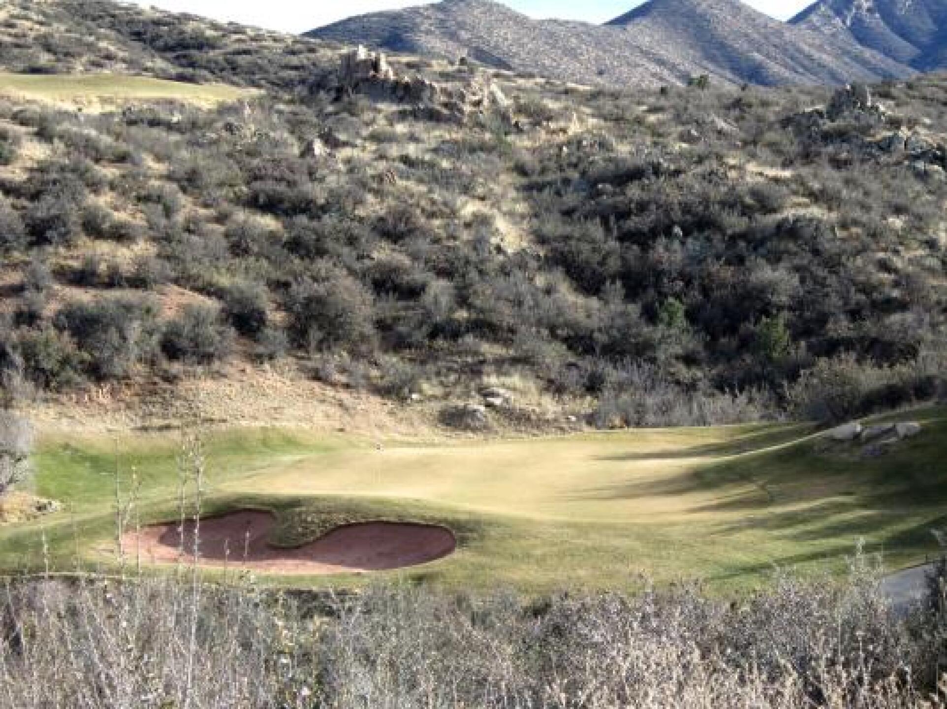 An inviting green in January. (Photo submitted by DarbyWL on 01/20/2015)