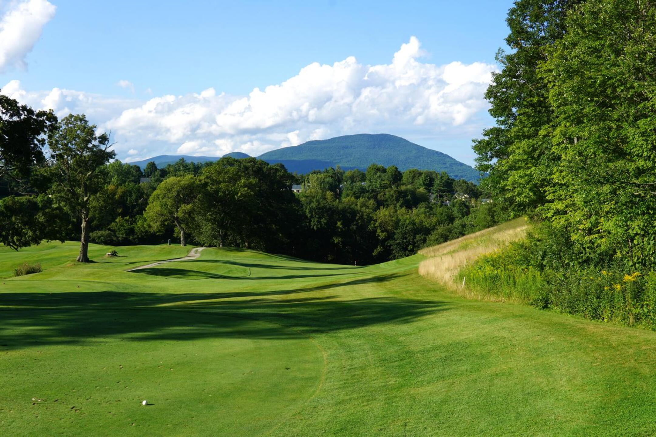 5th, par-4, 336. Short but lethal, this downhill, two-shot hole nonetheless offers a beautiful Green Mountain backdrop. (Photo submitted by AptlyLinked on 08/30/2022)