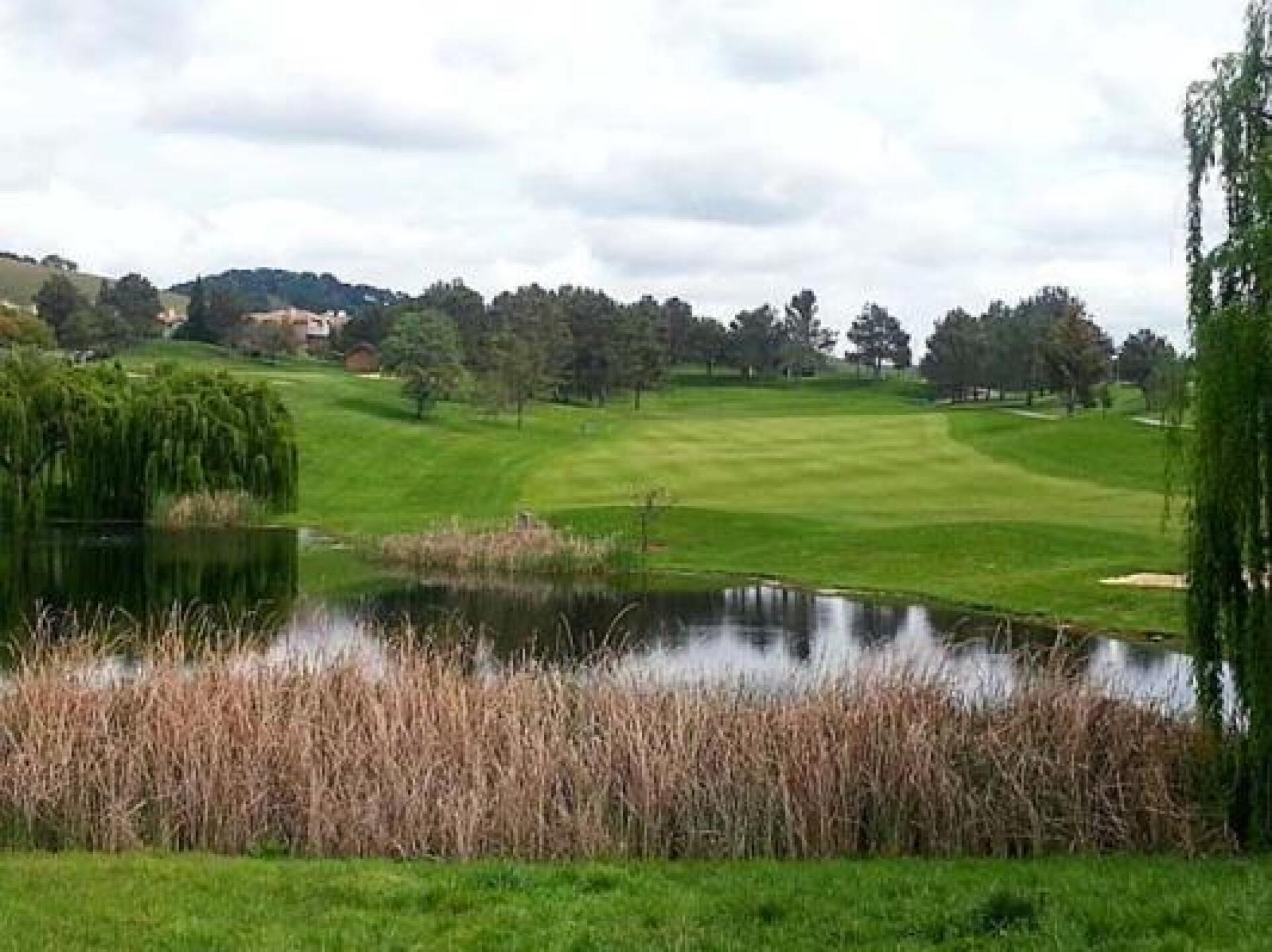 (Photo submitted by kmriley2013 on 03/29/2013)