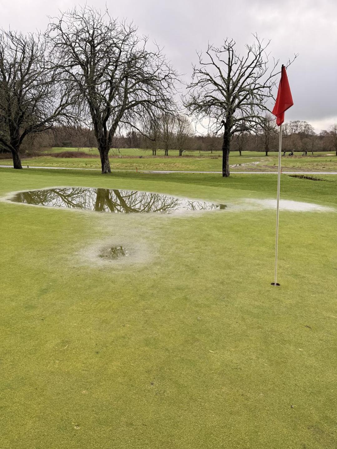 (Photo submitted by omOVymdB53lCODpXuJWi on 02/02/2026)