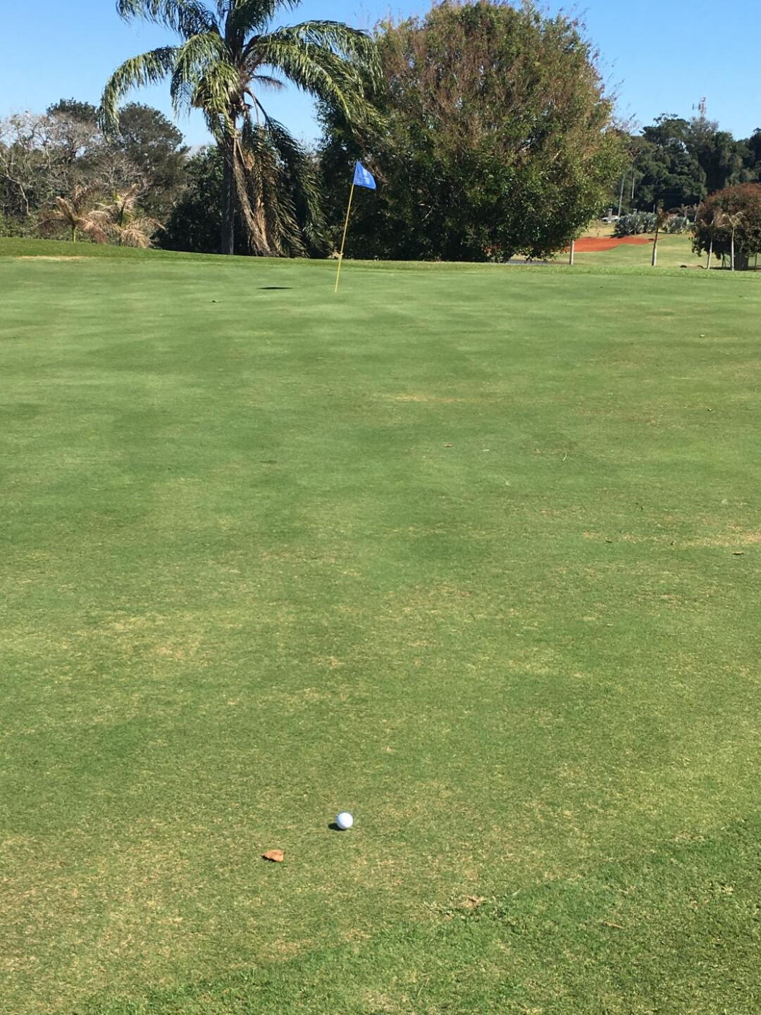 (Photo submitted by 94Fccl19KqfSti5cI7cv on 08/13/2019)