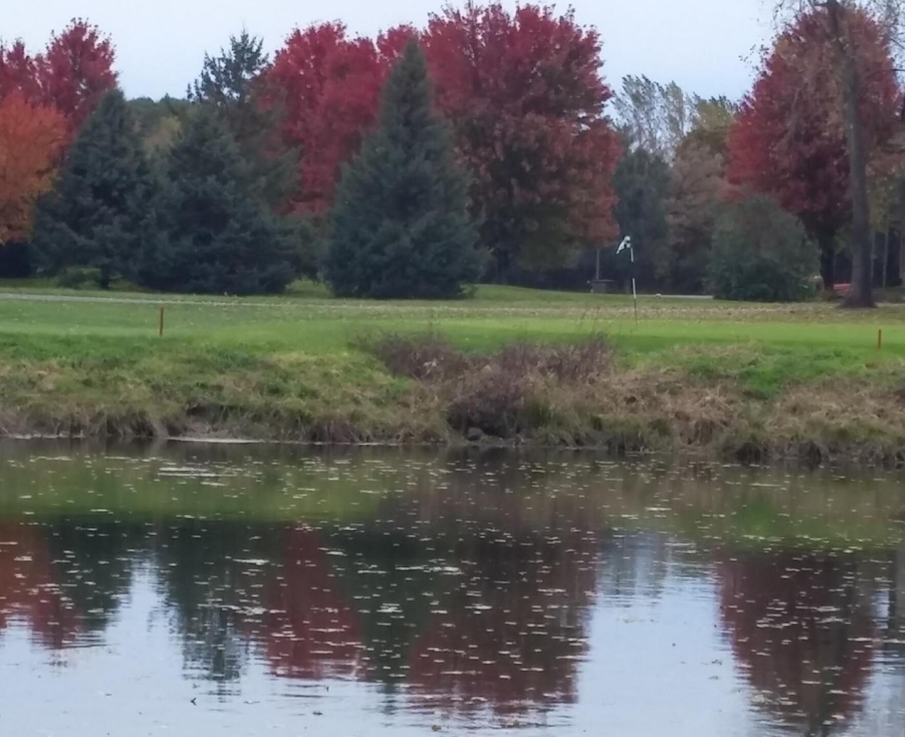 (Photo submitted by RussAsch on 03/23/2017)