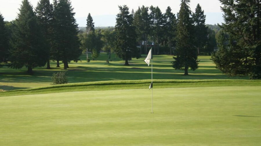 Cameron at Buffalo Hill GC: #3