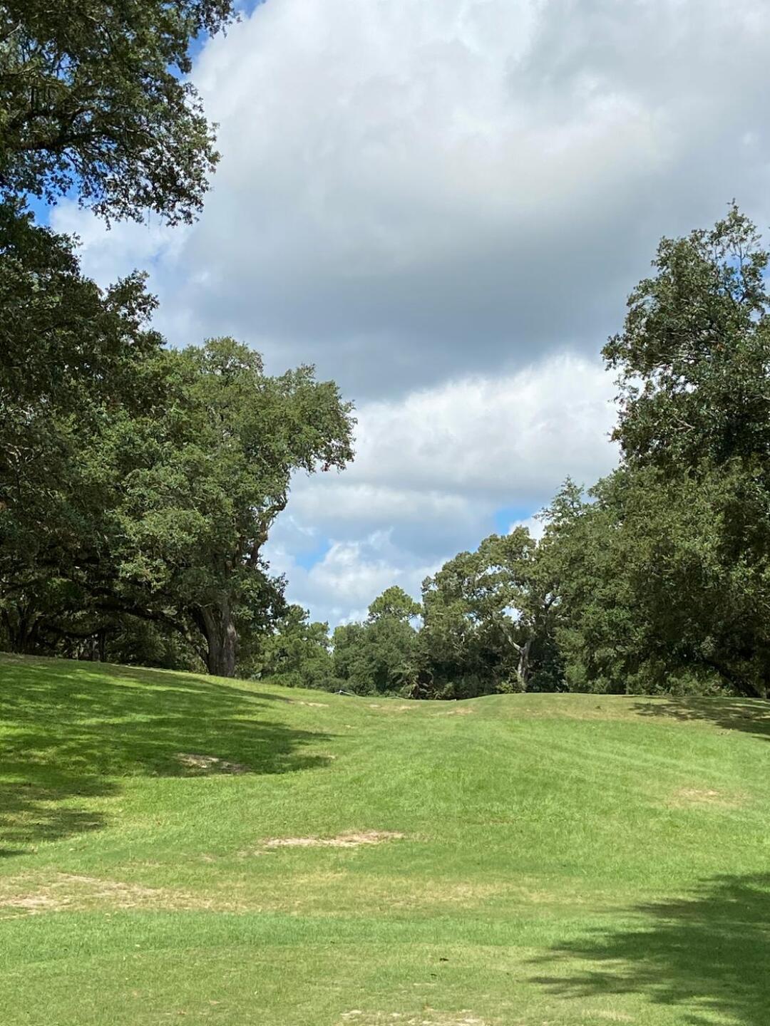 Blind par 3 was fun! (Photo submitted by Logan5691443 on 08/23/2020)