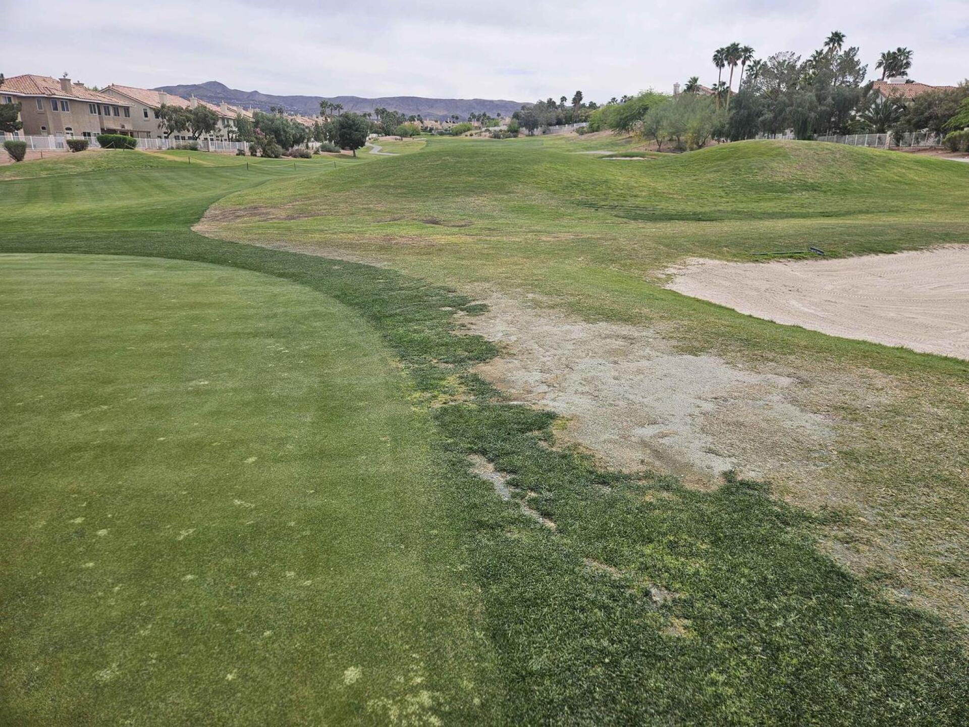 (Photo submitted by u314161622535 on 04/06/2026)