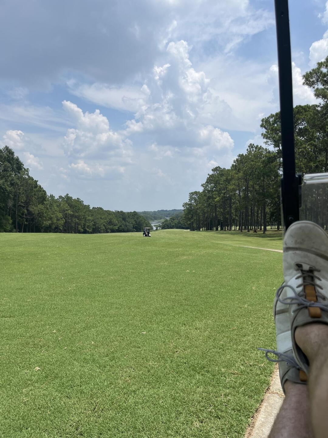(Photo submitted by BirdManGolf11 on 07/30/2023)