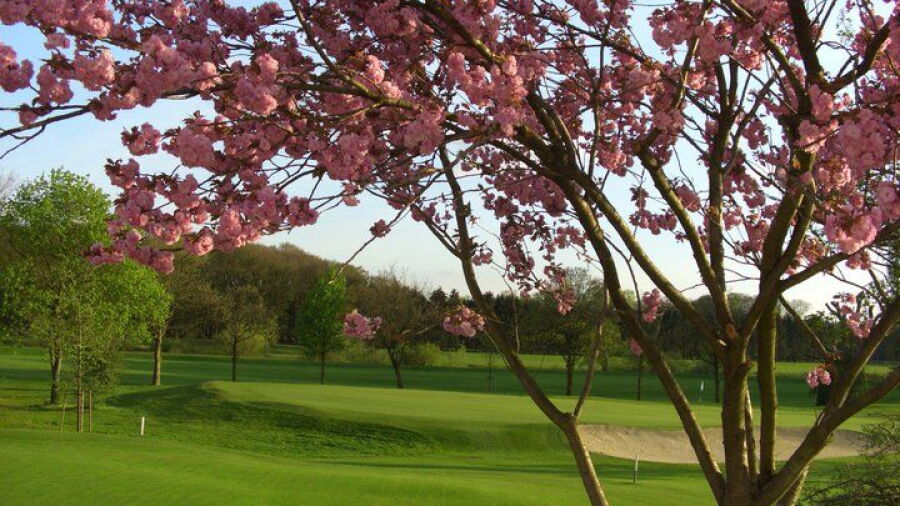 Emstal GC: #18