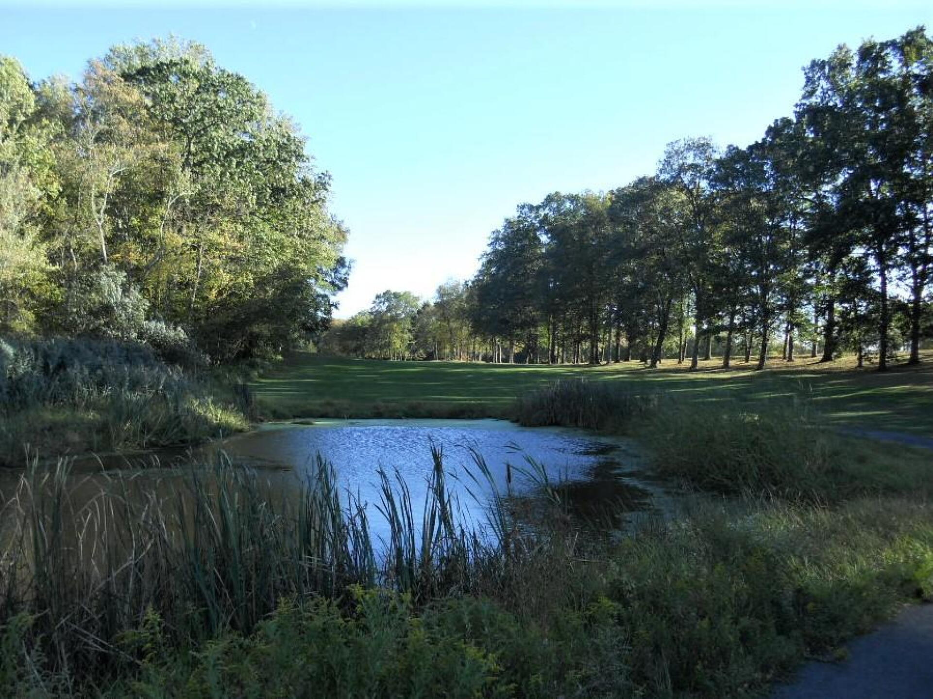 Pond on the sixteenth. (Photo submitted by AptlyLinked on 10/14/2019)
