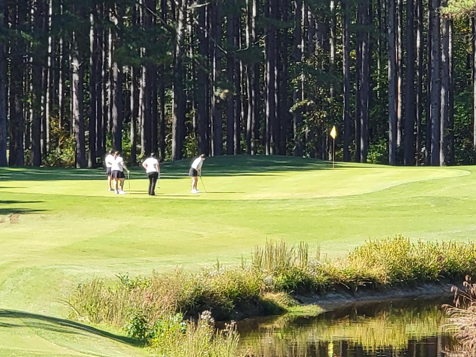 (Photo submitted by pcp7mgjBjXQ9039ykAkD on 02/25/2025)