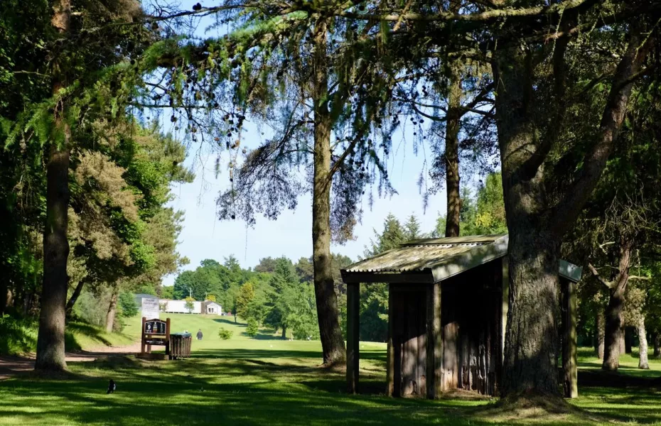 Hayston GC: #9
