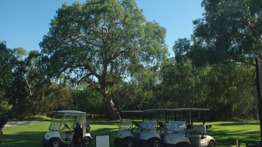 Strathallan GC
