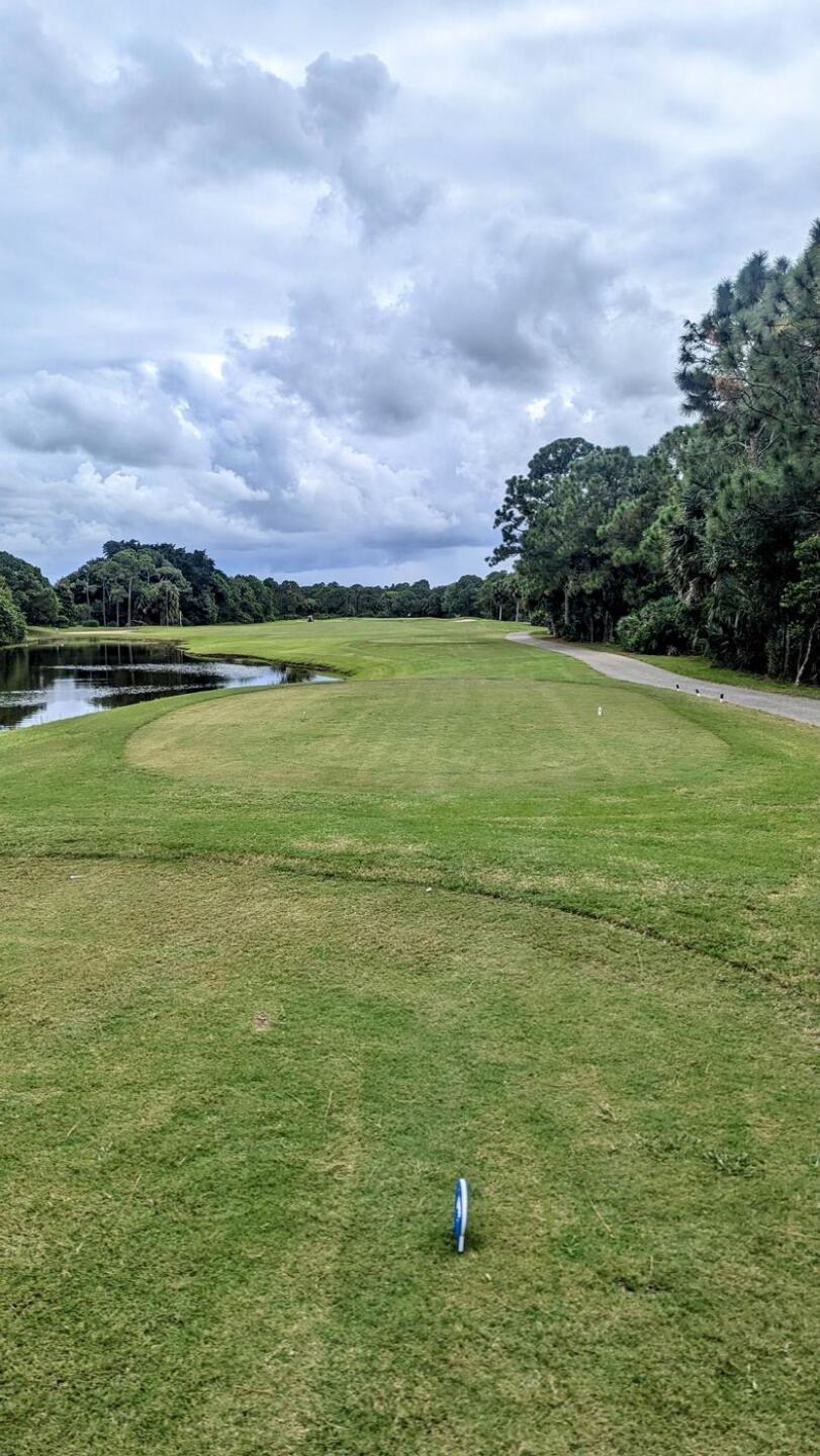 (Photo submitted by tiburonazo on 10/16/2024)