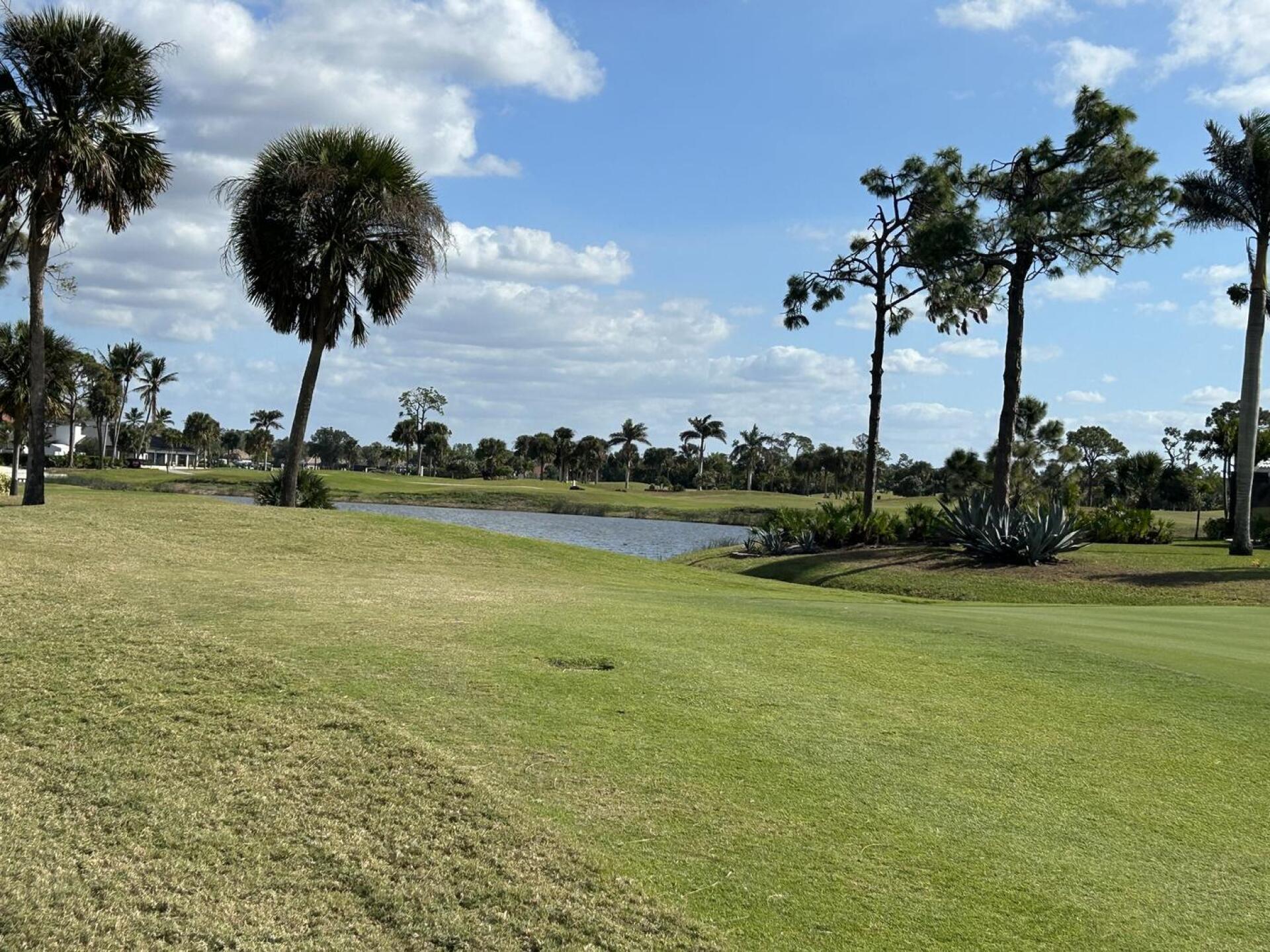 (Photo submitted by u000001806480 on 01/10/2025)