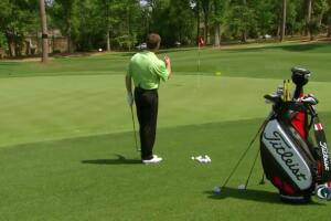 The Golf Fix: Breeds Basics-masters