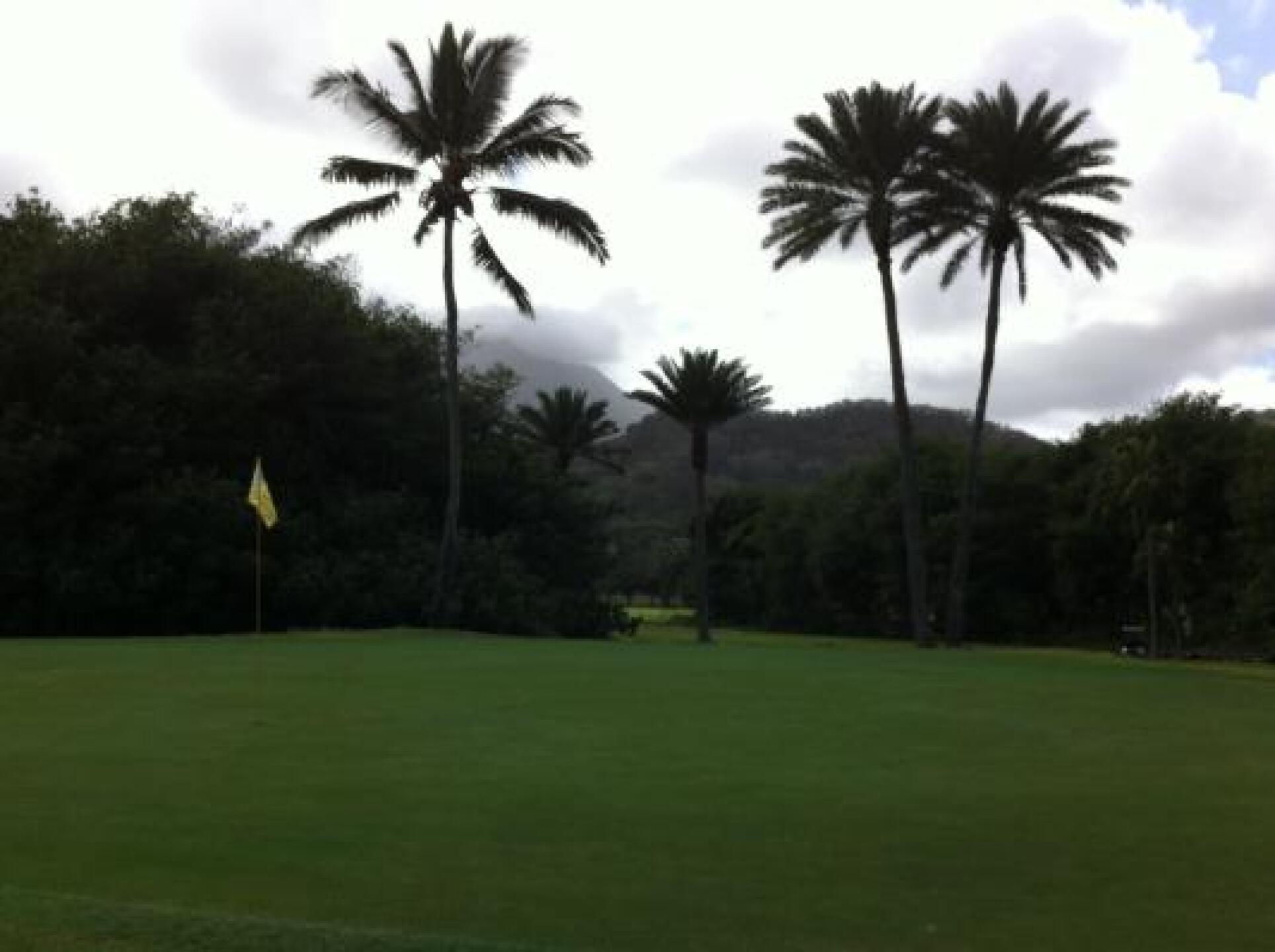 (Photo submitted by Godro on 01/23/2013)