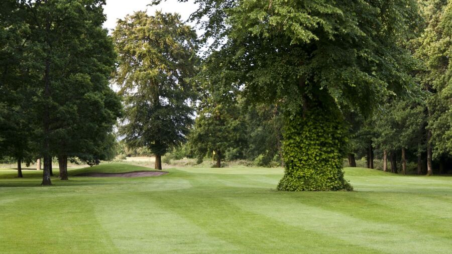Portarlington GC: #7