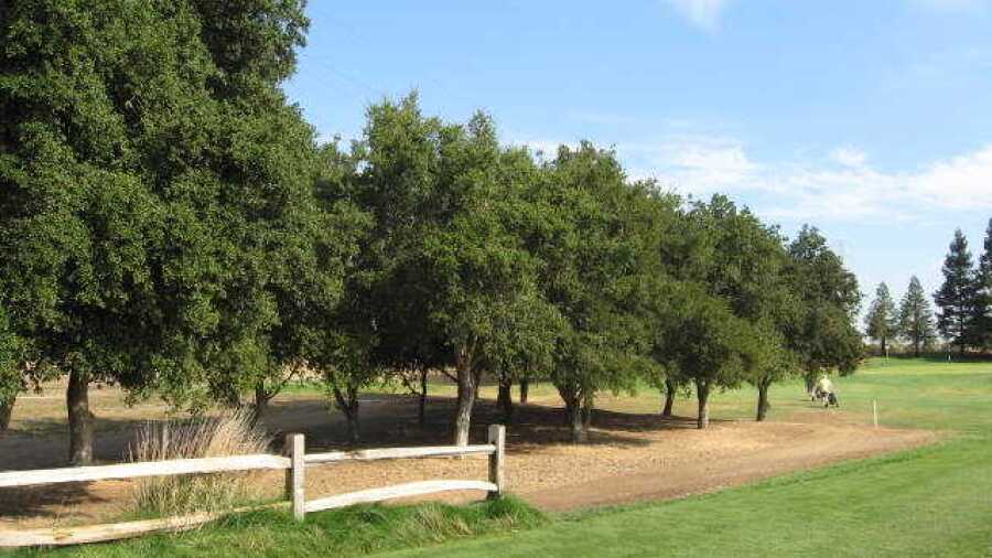 Emerald Lakes Golf Center: #3