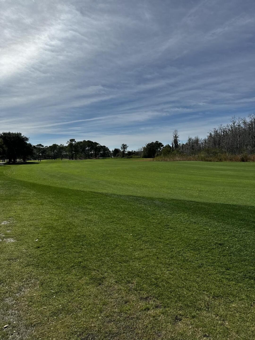 As the green grass grows (Photo submitted by TjXIII on 01/19/2024)