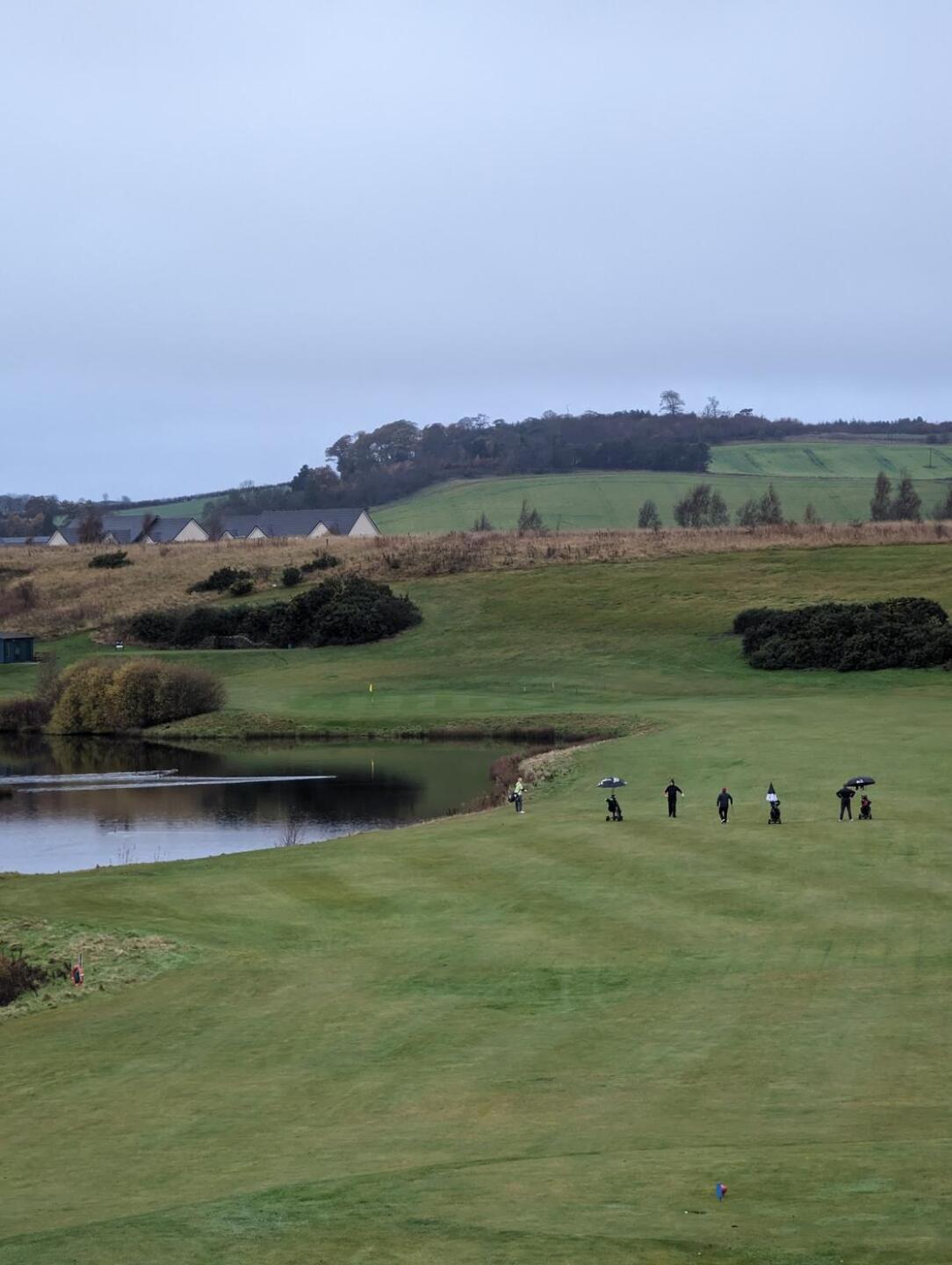 (Photo submitted by u5533529 on 11/20/2023)