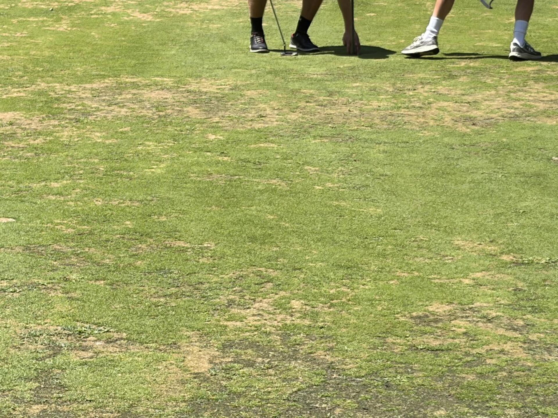 Fairways and greens (Photo submitted by Nate9387079 on 08/19/2026)