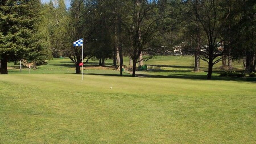 Twain Harte GC: #5