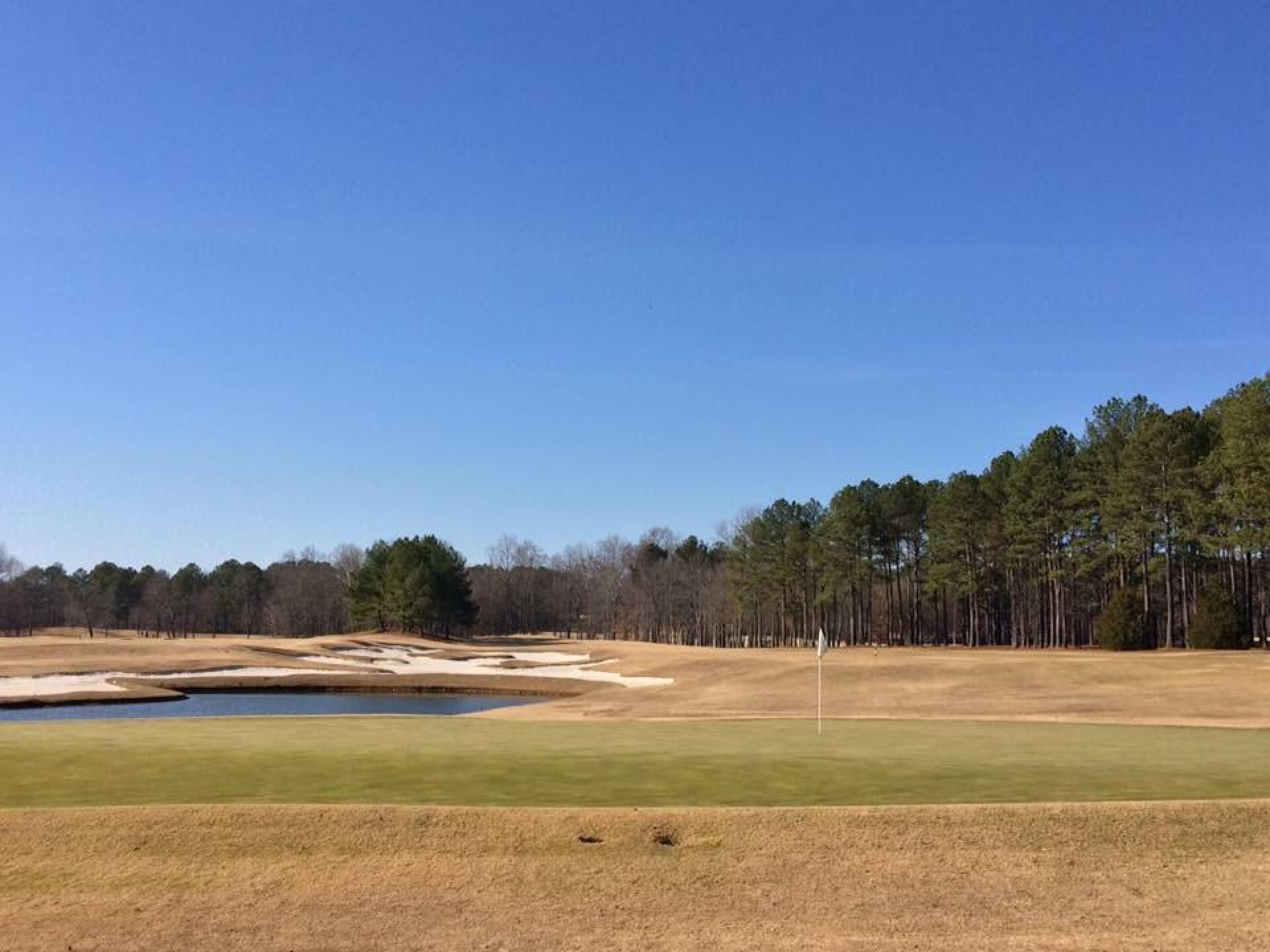 From behind the green on the short par-4 14th (Photo submitted by BrandonWebb on 01/03/2017)