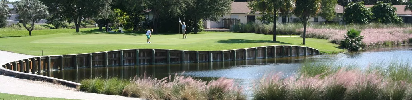 The Bridges at Springtree GC: #4