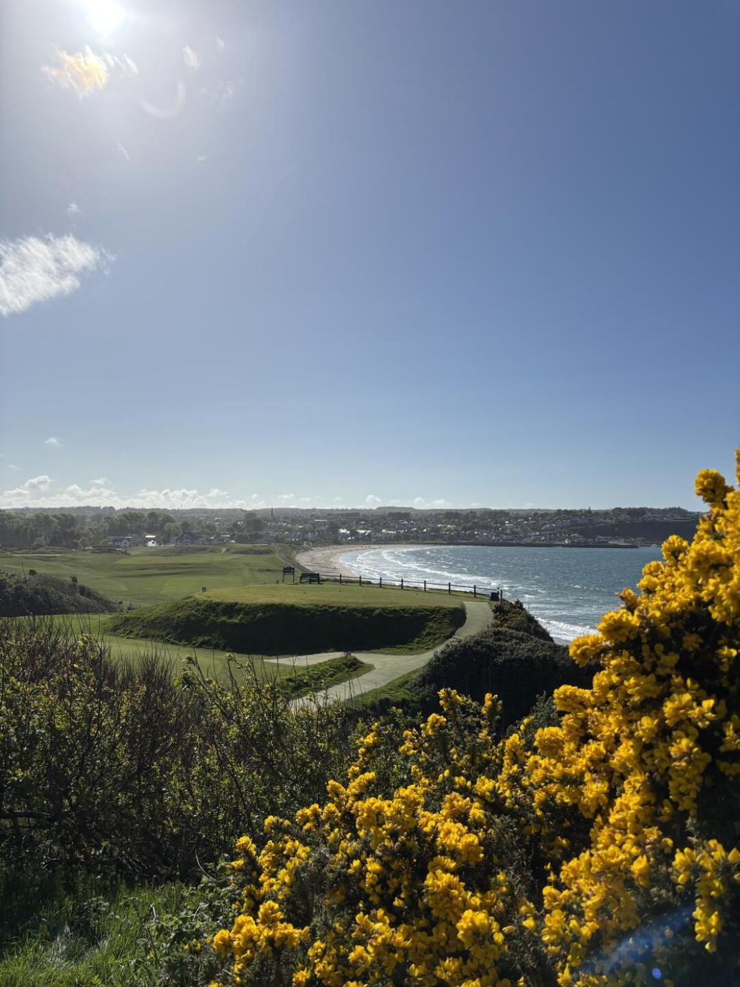 (Photo submitted by LRJ17 on 05/05/2025)