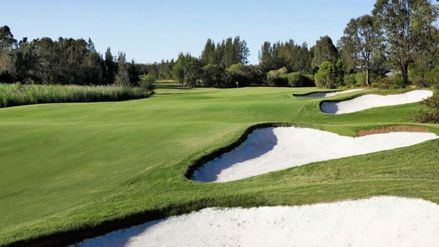 Dubbo GC