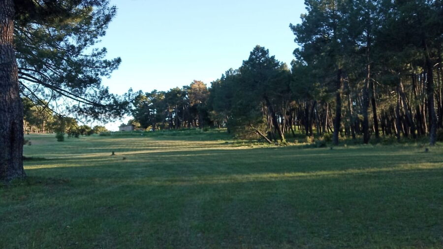 La Vereda GC