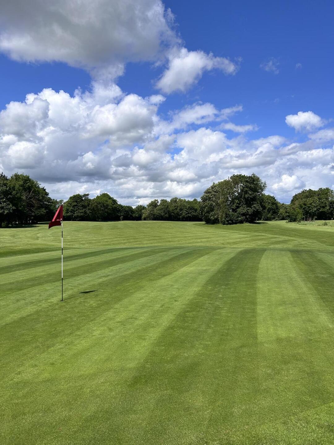 (Photo submitted by fer1997 on 06/01/2025)