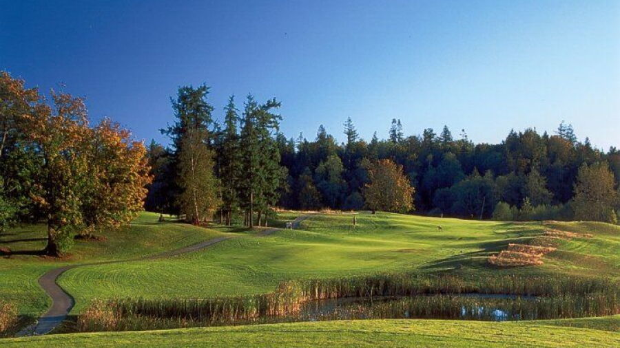 Shuksan GC: #16