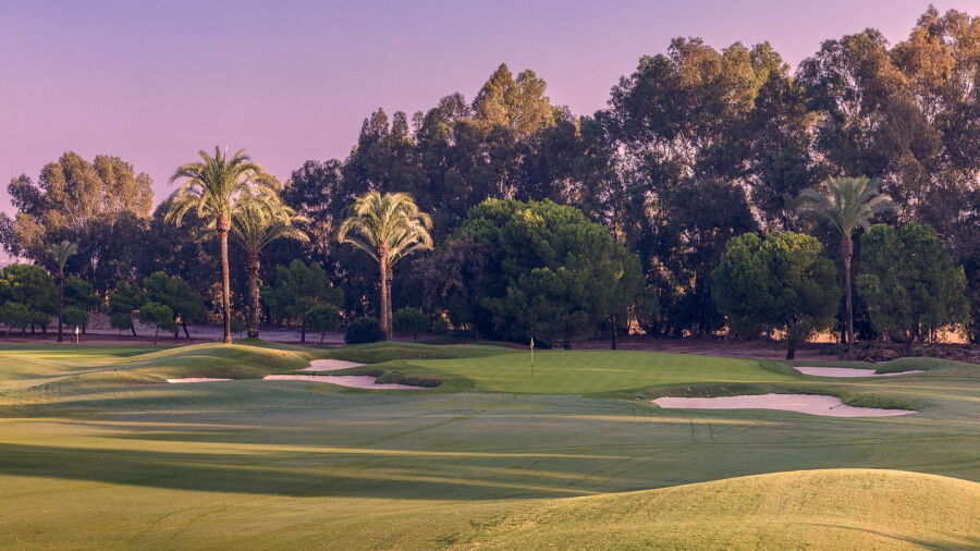 Real Club de Golf de Sevilla: #6