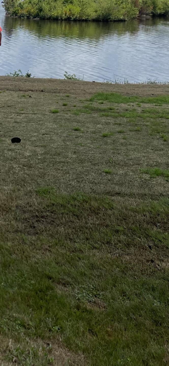 What all tee boxes looked like (Photo submitted by Spence420 on 08/18/2024)