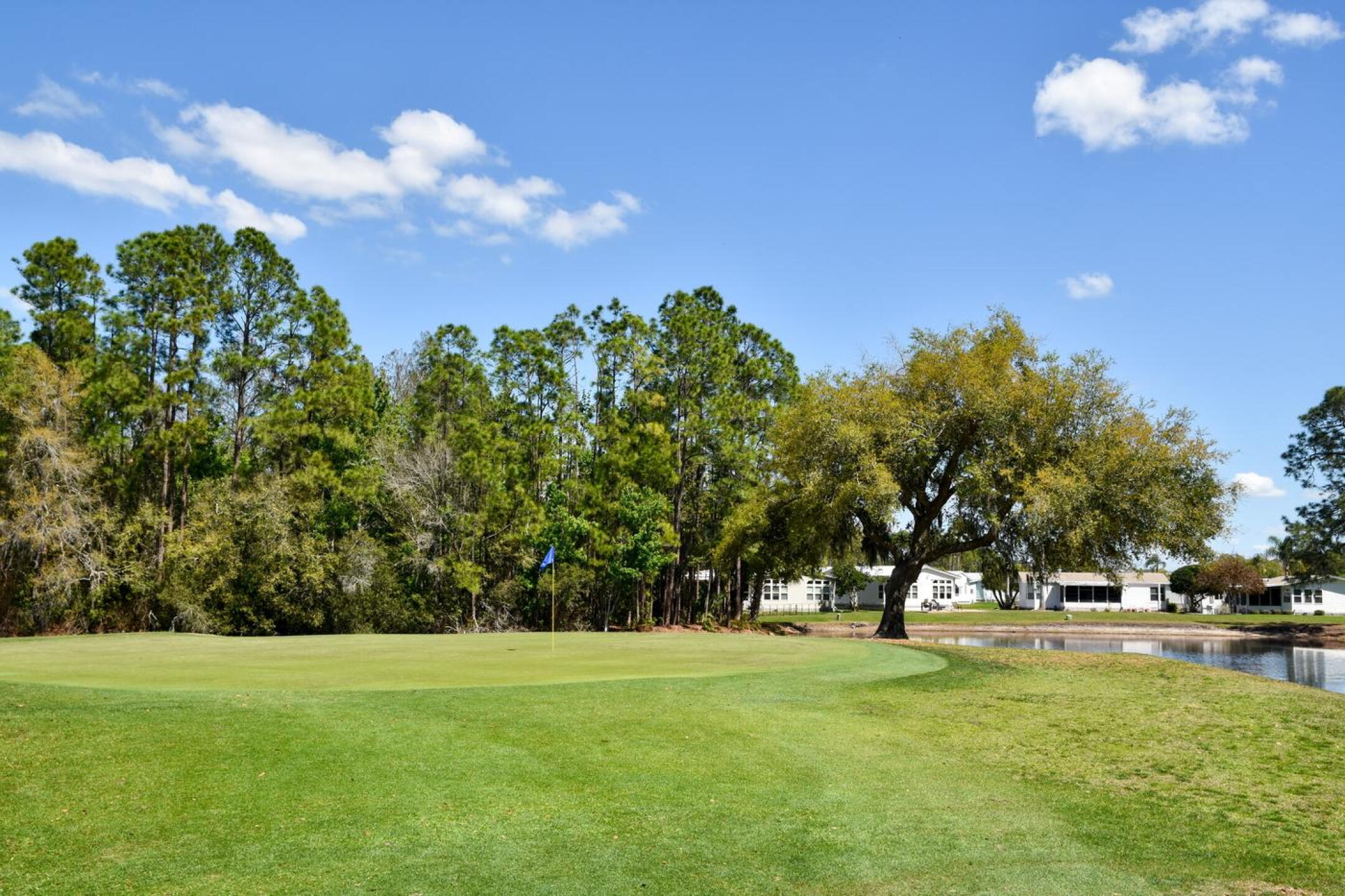 Seen from behind the green, a view of the 13th. This par-3 measures 125 yards and plays to an island green. (Photo submitted by AptlyLinked on 03/13/2026)