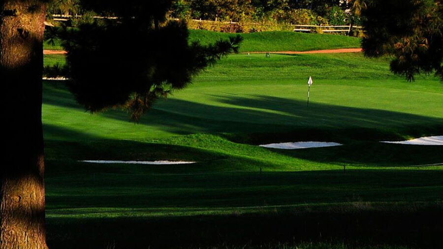 Allegheny CC
