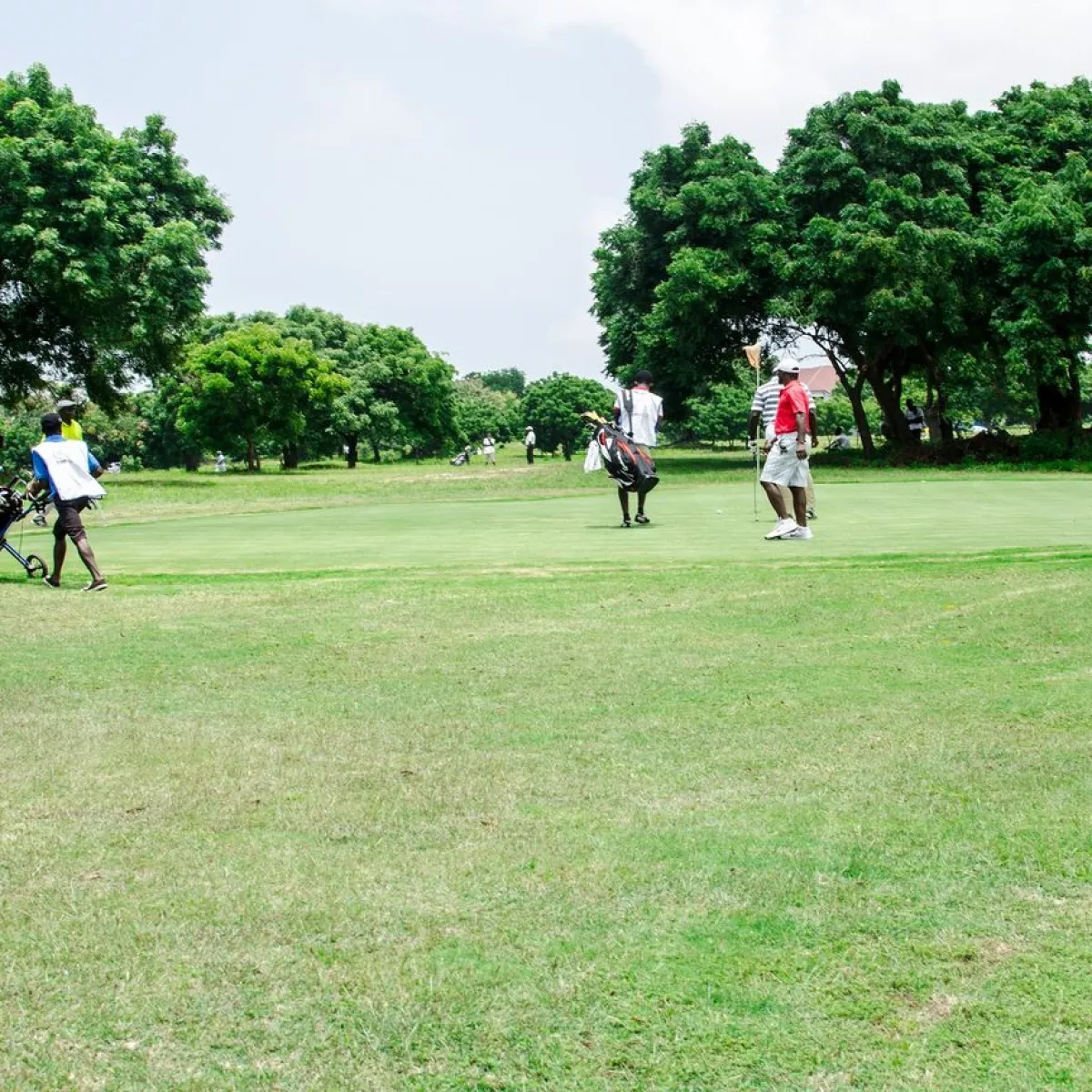 Celebrity Golf Club