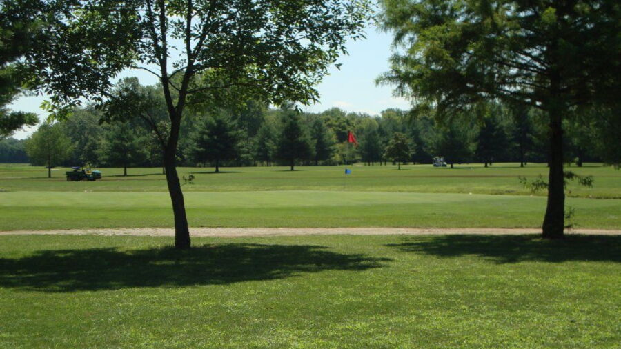 Cypress Run GC