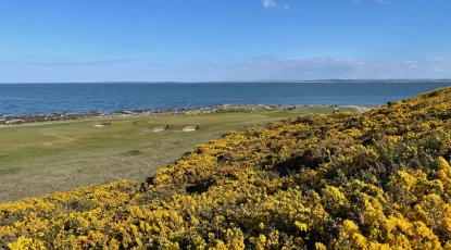 Royal Dornoch - Championship Links - scenery 